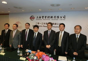 上海實(shí)業(yè)續(xù)力拓光伏項(xiàng)目