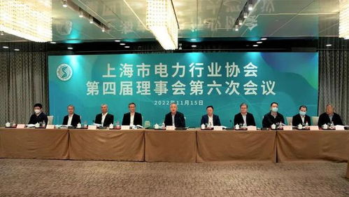 海鄭實(shí)業(yè)再次擔(dān)任上海市電力行業(yè)協(xié)會(huì)理事會(huì)會(huì)議監(jiān)票人